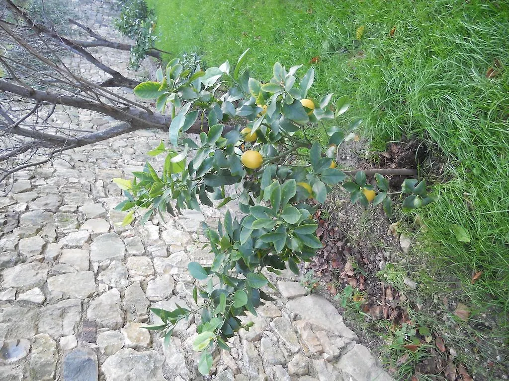 Apartmán Casa Maya Brenzone sul Garda